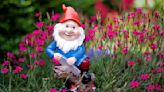 The Weird, Whimsical, and Wonderful History of Garden Gnomes—and Why You Need One
