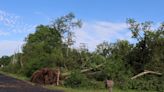 National Weather Service confirms two more tornadoes from Tuesday's storms; total now up to 6 in area