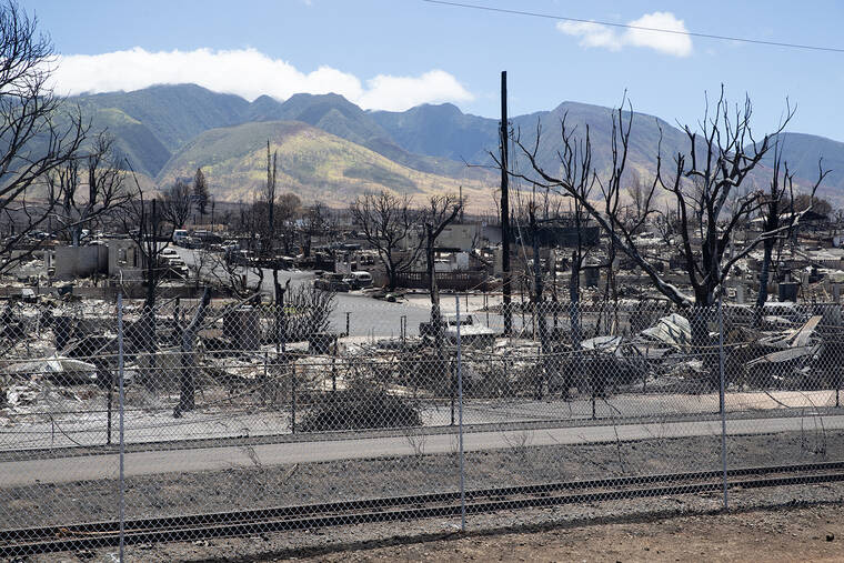 Maui centers assisting fire survivors in transition to new site