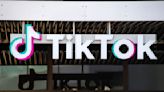 TikTok CEO says selling the app won't satisfy US security concerns