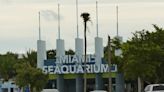 Miami Seaquarium’s chief veterinarian resigns after critical report about its animal care