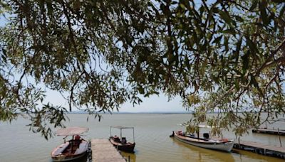 La Junta Rectora de l’Albufera: 'El agua no ha llegado al lago'