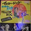 Yellow Dog