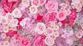 25 Types of Pink Flowers To Brighten up Your Garden