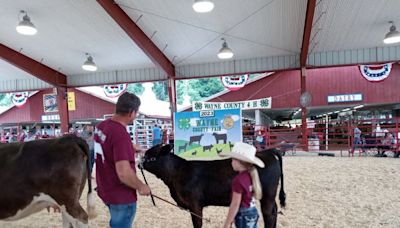 The Wayne County Fair 4-H, FFA Junior Livestock Sale is one of the biggest in the state