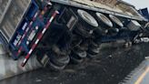 Live chickens spill onto Highway 401 after transport truck collision in Milton