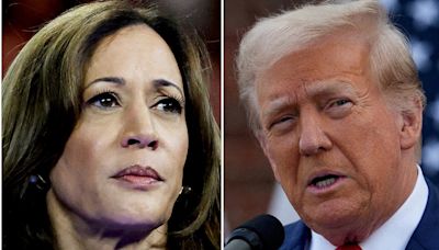 Shock new Trump Harris presidential poll reveals a stunning change