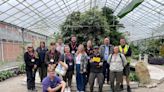 York college and nursery combine over horticulture course