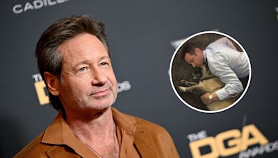 David Duchovny supported by Gillian Anderson as emotional update goes viral