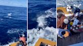 Watch: Hooked Marlin Leaps into the Back of a Fishing Boat