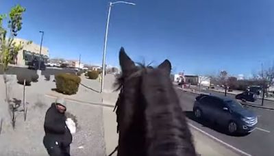 Watch Police Riding Horses Chase Down A Shoplifter