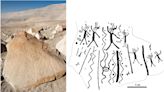 Drogas, cantos y bailes, la fascinante historia de las tallas rupestres del sur de Perú