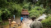 Photos: Sierra Leone rangers face a tough fight against deforestation