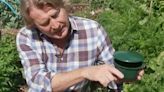 I’m a gardening pro - my 5 hacks to stop slugs taking over as UK invasion worsen