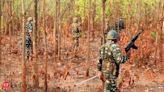 Combing operations launched amid suspected naxal sightings around Karnataka border - The Economic Times
