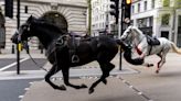 King’s Horses Run Amok in London, Escaping Monarch’s Birthday-Parade Practice