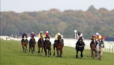 Today on Sky Sports Racing: Royal runner High Order contests feature handicap at Doncaster