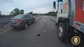 Officer and truck driver team up to save kitten on busy highway in Alachua County