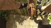 VIDEO: Police free baby deer stuck in fence