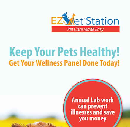 ez-vet-veterinary-clinicclearwater-clearwater- - Yahoo Local Search Results