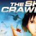 The Sky Crawlers (film)