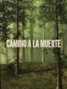 Camino a la muerte