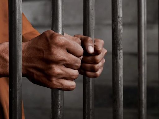 Thane Court Sentences 62-Year-Old Contractual Gardener To Life Imprisonment For Killing Supervisor Over Payment Dispute