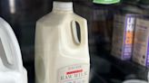 Raw Milk Is Booming. A Salmonella Outbreak Highlights Its Risks.