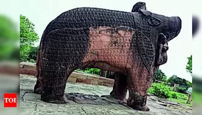 Gupta era Varaha idol gets a new life in Madhya Pradesh's Sagar | Bhopal News - Times of India