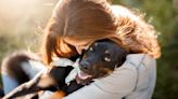 Adoption of a Pet Dog or Puppy: What You Need To Know