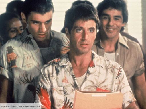 "Le Parrain", "Scarface", "Serpico"... vous aimez Al Pacino ? Voici les 13 films incontournables à voir sans modération pour (re)découvrir sa carrière