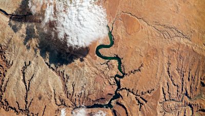 NASA-Led Study Provides New Global Accounting of Earth’s Rivers - NASA