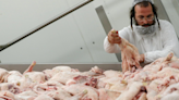 Court decision halts enforcement of Ottawa's kosher slaughter rules