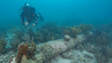 Shipwreck discovered at bottom of Florida Keys is revealed to be long-lost British warship