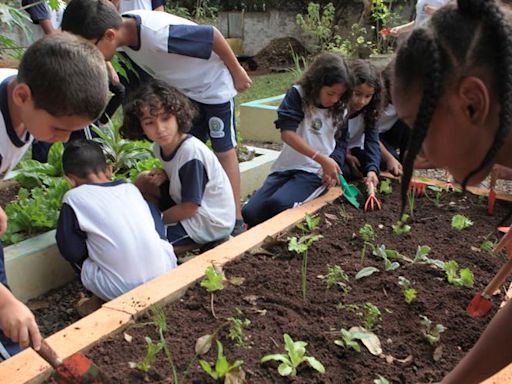 ‘Alfabetização Ecológica’ reforça educação ambiental e alimentar