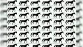 Optical Illusion: Spot 3-legged Horses Within 10 Seconds - News18