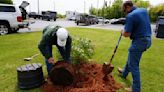City celebrates Arbor Day