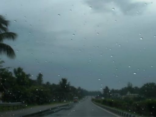 Bengaluru Weather Forecast: City To Experience Moderate Rainfall Today, Says IMD