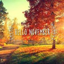 1st day of November. Wow this year has flown by! #november No Vember ...
