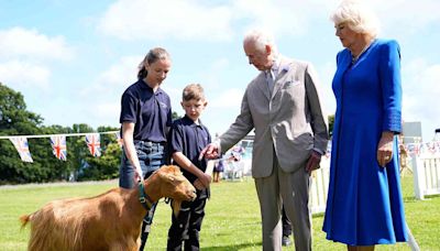 King Charles III bestows royal title on at-risk goats