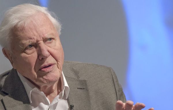David Attenborough gives two-word warning as BBC star asks for life advice