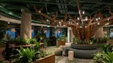 See inside Pinterest's quirky Dublin office, which has a pub and a workspace resembling a Celtic forest