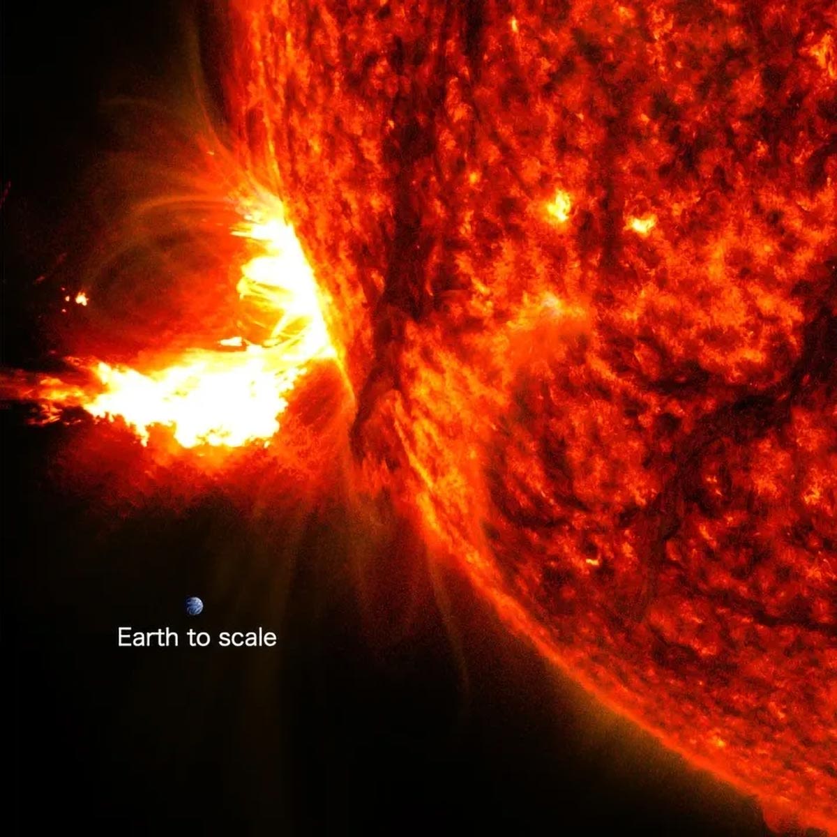 Sun Struck: NASA Captures Intense X-Class Solar Flares