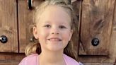 A FedEx driver who previously drove for Uber has been arrested in the death of missing 7-year-old Athena Strand, police say