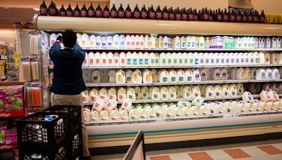 Fragments of bird flu virus found in pasteurized milk, although FDA says supply is safe