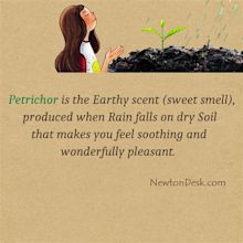 Soil Smell After Rain Is Petrichor Scent (The Earthy Scent) - Nature Facts