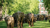 100 life-size elephants will take over NYC this autumn