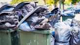 Major change to UK bin collections planned as councils simplify collections