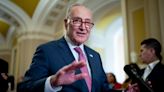Schumer loses longtime national security adviser
