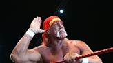Hulk Hogan announces engagement to girlfriend Sky Daily at friend’s wedding